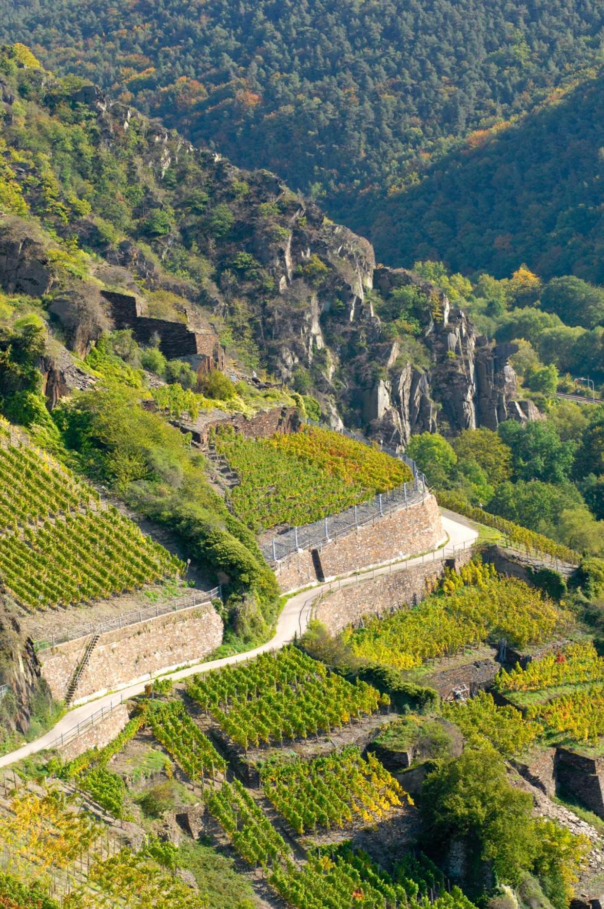 Hotel Villa Sanct Peter Bad Neuenahr-Ahrweiler Ngoại thất bức ảnh